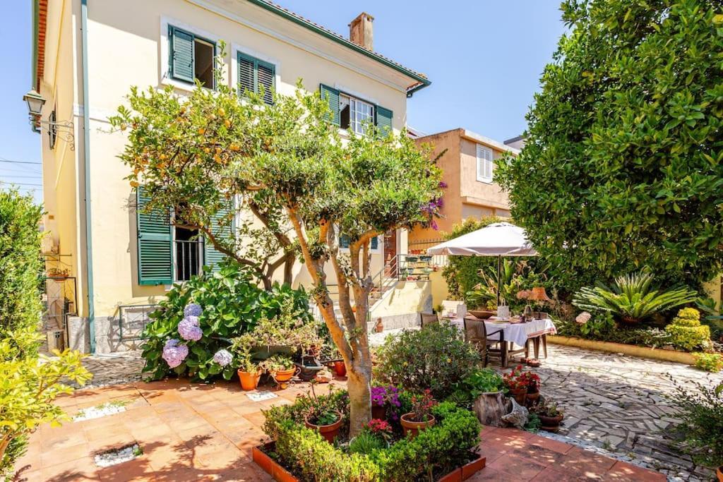 Studio&garden Apartment Lissabon